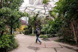 احتکار نیروی کار | چرا شرکت‌ها دیگر به کارمندانشان وابسته نیستند؟